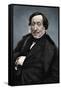 Gioachino Rossini (1792-1868), Italian composer-Nadar-Framed Stretched Canvas