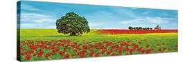 Stretched Canvas