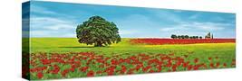 Stretched Canvas