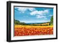 Black Frame