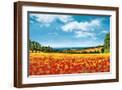 Brown Frame