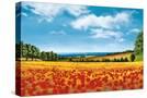 Stretched Canvas