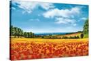 Stretched Canvas