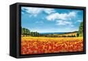 Canvas Black