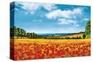 Stretched Canvas