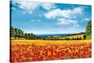 Stretched Canvas
