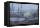 Canvas Black