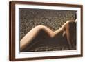 Brown Frame
