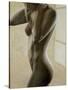 Stretched Canvas
