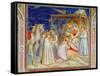 Giotto: Adoration-Giotto di Bondone-Framed Stretched Canvas