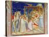 Giotto: Adoration-Giotto di Bondone-Stretched Canvas