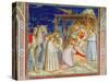 Giotto: Adoration-Giotto di Bondone-Stretched Canvas