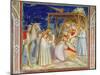 Giotto: Adoration-Giotto di Bondone-Mounted Giclee Print