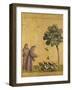 Brown Frame