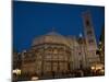 Giotto's Bell Tower and Cathedral (Basilica Di Santa Maria Del Fiore), Florence, Tuscany, Italy-Carlo Morucchio-Mounted Photographic Print