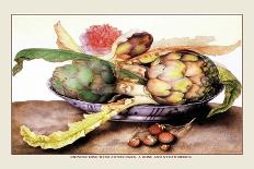 Dish of Figs with Jasmine and Small Pears-Giovanna Garzoni-Art Print