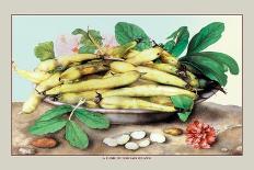 Dish of Figs with Jasmine and Small Pears-Giovanna Garzoni-Art Print