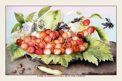 Dish of Cherries with a Bean and a Hornet