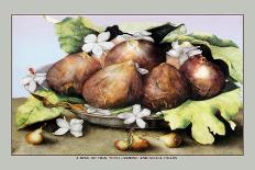 Still Life with Bowl of Figs, c.1650-Giovanna Garzoni-Giclee Print