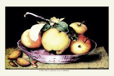 Dish with a Pomegranate, A Grasshopper, A Snail, and Two Chestnuts-Giovanna Garzoni-Art Print