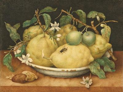 Still Life with a Bowl of Citrons, C.1640