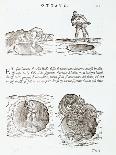 Illustration of Procedure for Removing Blocks of Stone-Giovanni Antonio Rusconi-Giclee Print