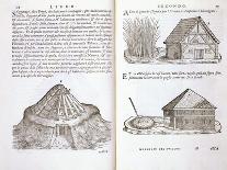 Illustration of Roof Thatching Techniques-Giovanni Antonio Rusconi-Giclee Print