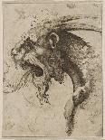 Head of a Chimera Par Franco (Called Semolei) (Pen, Brown Indian Ink on Paper)-Giovanni Battista Franco-Stretched Canvas