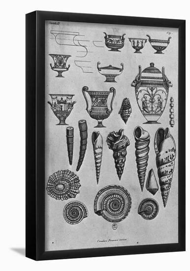 Giovanni Battista Piranesi Seashell and Urn Engravings Sketch Poster Print-null-Framed Poster