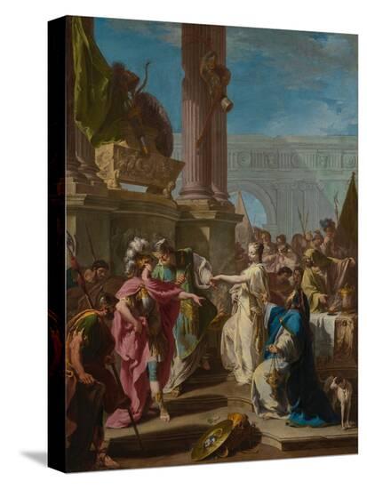 Stretched Canvas Print, , large
