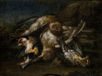 Dead Bird, 1664-Giovanni Benedetto Castiglione-Stretched Canvas