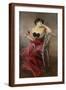 Brown Frame
