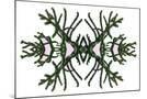 Wood Mount