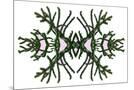 Wood Mount