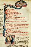 Ms.Lat.6912 Illuminations from Volume 2 of the 'Continens' of Rhazes Concerning Opthalmology and…-Giovanni da Monte Cassino-Framed Stretched Canvas