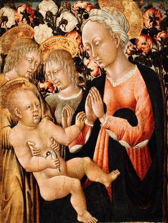 Madonna and Child with Angels, C.1475