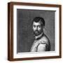 Brown Frame