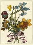 Floral Posy I-Giovanni Ferrari-Mounted Art Print