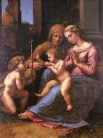 Madonna of the Divine Love-Giovanni Francesco Penni-Stretched Canvas