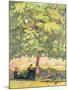 Wood Mount