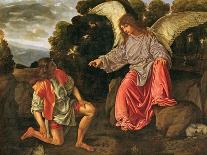 St. John the Evangelist-Giovanni Girolamo Savoldo-Giclee Print