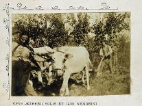 Farmers with Plow Pulled by Oxen-Giovanni Pascoli-Giclee Print