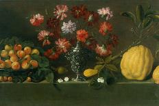 Plums on a Dish, Carnations in an Urn, Quinces on a Ledge-Giovanni Quinsa-Giclee Print