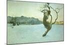 Wood Mount