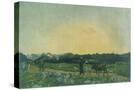 Stretched Canvas