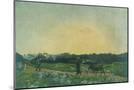 Wood Mount