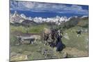 Wood Mount