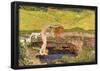 Giovanni Segantini The Vanity Art Print Poster-null-Framed Poster