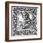 Brown Frame