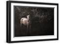 Black Frame